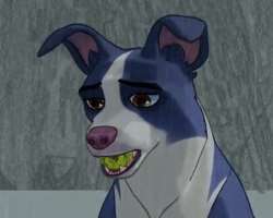 He has also done a voice role, being the voice of Moong-chi. in the animated film 